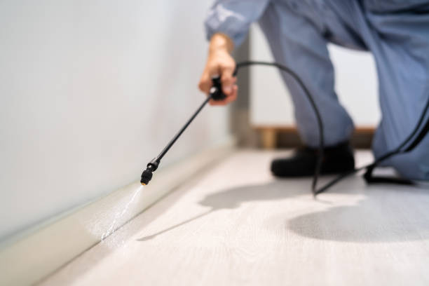 Rodent Entry Point Assessment in Pico Rivera