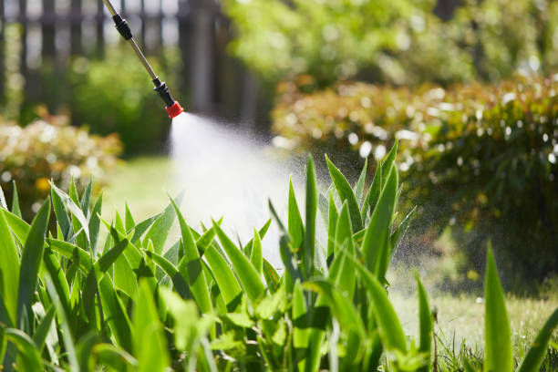 Tamper-Resistant Bait Stations for Rodents in Pico Rivera
