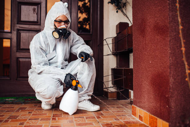 Attic and Crawl Space Rodent Treatment in Pico Rivera